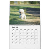 Calendrier pour chien Bichon Frise (Mar 2026)