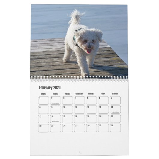Calendrier pour chien Bichon Frise (Feb 2026)