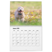 Calendrier pour chien Bichon Frise (Jan 2026)