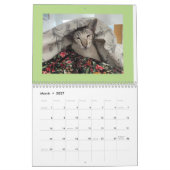 Calendrier Pour L'Amour Des Chats (Mar 2027)