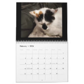 Calendrier Pour L'Amour Des Chats (Feb 2026)