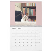 Calendrier Pour L'Amour Des Chats (Jan 2026)