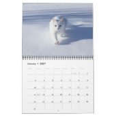 Calendrier pour les amoureux des chats (Jan 2027)