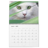 Calendrier pour les amoureux des chats (Mar 2027)