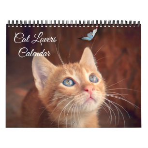Calendrier pour les amoureux des chats