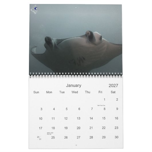 Calendrier Pourquoi nous plongeons (Jan 2027)