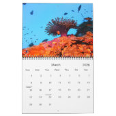 Calendrier Pourquoi nous plongeons (Mar 2026)