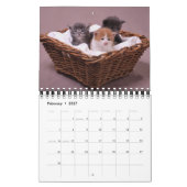 Calendrier précieux des chats 2012 (Feb 2027)