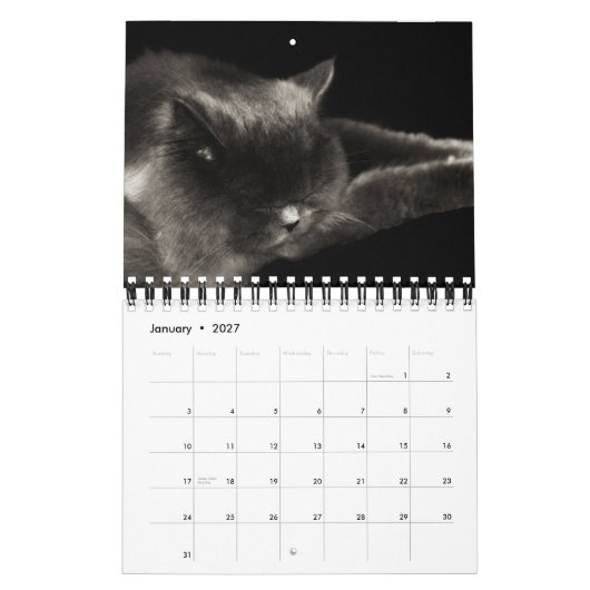 Calendrier précieux des chats 2012 (Jan 2027)