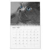 Calendrier précieux des chats 2012 (Mar 2027)