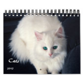 Calendrier précieux des chats 2012 (Protection)
