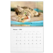 Calendrier Precious Paws 2025 (Feb 2026)