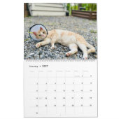 Calendrier Precious Paws 2025 (Jan 2027)