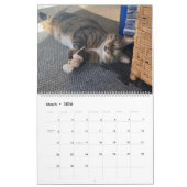 Calendrier Precious Paws 2025 (Mar 2026)