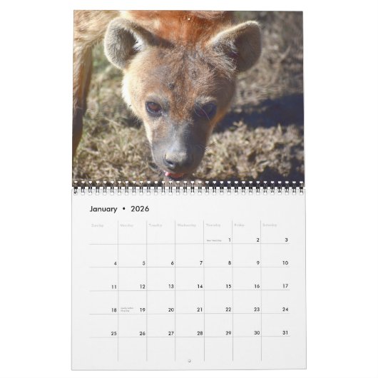 Calendrier Predator (Jan 2026)