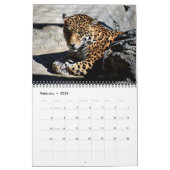 Calendrier Predator (Feb 2026)