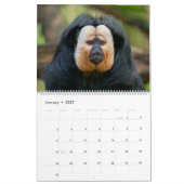 Calendrier Primates 2026 - Collection Singes et Petits Singes (Jan 2027)