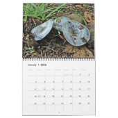 Calendrier - Principalement bleu (Jan 2026)