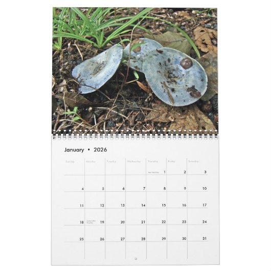 Calendrier - Principalement bleu (Jan 2026)