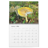 Calendrier - Principalement Jaune (Jan 2026)