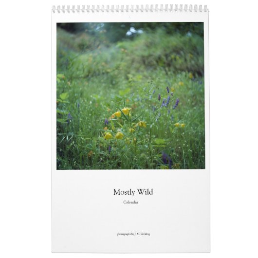 Calendrier principalement Wild (fleurs) (Protection)