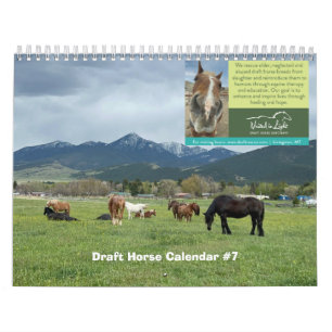 Calendrier provisoire des chevaux
