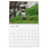 Calendrier Puffins Calendar (Mar 2026)