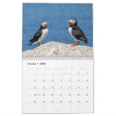 Calendrier Puffins de l'Atlantique 2026 (Jan 2026)