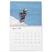 Calendrier Puffins de l'Atlantique 2026 (Feb 2026)