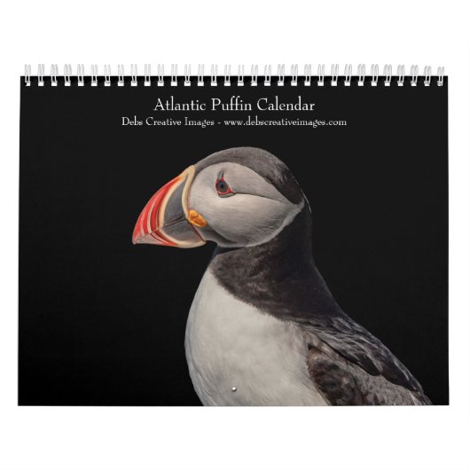 Calendrier Puffins de l'Atlantique 2026 (Protection)