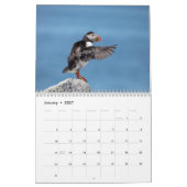 Calendrier Puffins de l'Atlantique 2026 (Jan 2027)