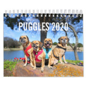 CALENDRIER PUGGLE 2020 (Protection)