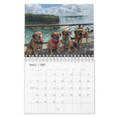 CALENDRIER PUGGLE 2020 (Mar 2027)