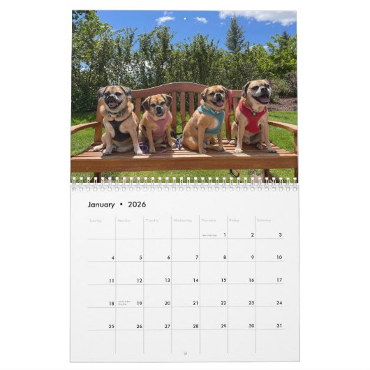 Calendrier Puggle 2023 (Jan 2026)