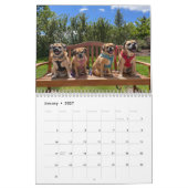 Calendrier Puggle 2023 (Jan 2027)