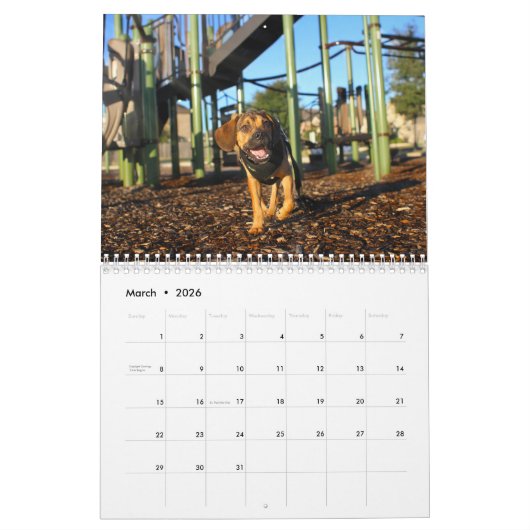 Calendrier Puggles 2025 (Mar 2026)