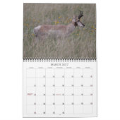 Calendrier Puits 2011 (Mar 2027)