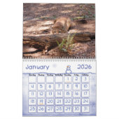 Calendrier Puma 001, puma (Jan 2026)