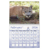 Calendrier Puma 001, puma (Feb 2026)