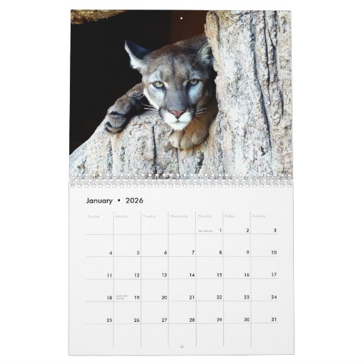 Calendrier Puma 2026 (Jan 2026)