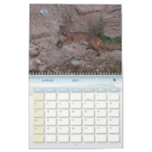 Calendrier Puma Calendar Cougar  (Jan 2027)