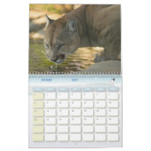 Calendrier Puma Calendar Cougar  (Feb 2027)