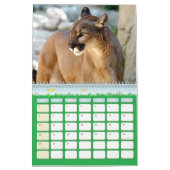 Calendrier Puma Calendar Cougar  (Mar 2027)