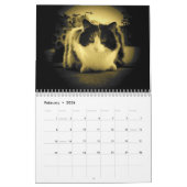 Calendrier Puma, mon calicot, mon mannequin vedette (Feb 2026)