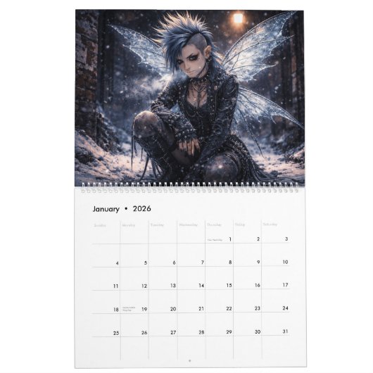 Calendrier Punk Fairies Wall Calendar (Jan 2026)