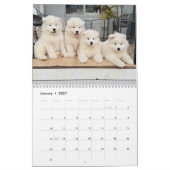 Calendrier Pupatoes (Jan 2027)