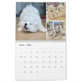 Calendrier Pupatoes Calendar (Mar 2026)