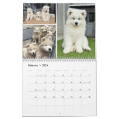 Calendrier Pupatoes Calendar (Feb 2026)