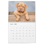 Calendrier Puppies 2026 Calendar (Mar 2026)