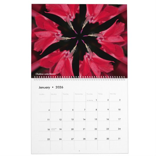 Calendrier Quand Six Sides Kaleid (Jan 2026)